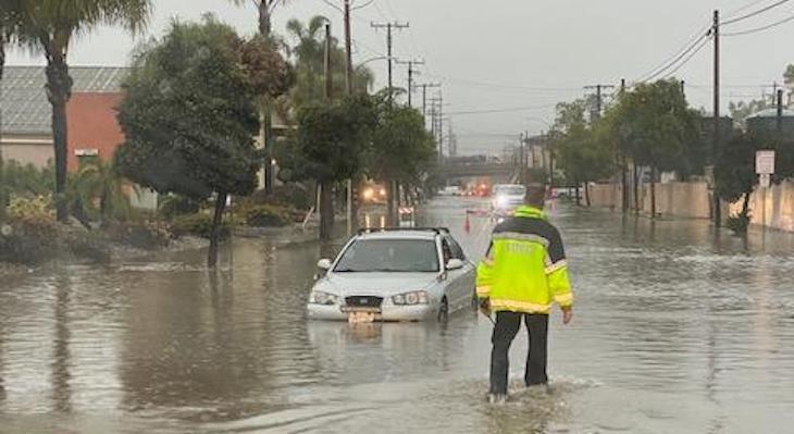 Welcome to the New Reality: Resilience Lessons From the Recent Winter ...